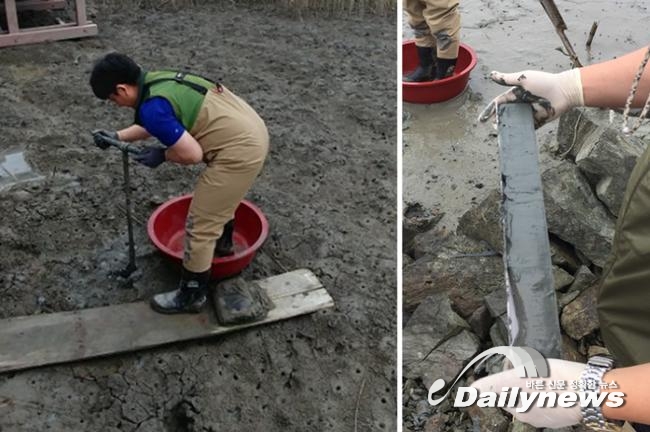 1400년 전부터 살아온 희귀 돌말류 신종 발견