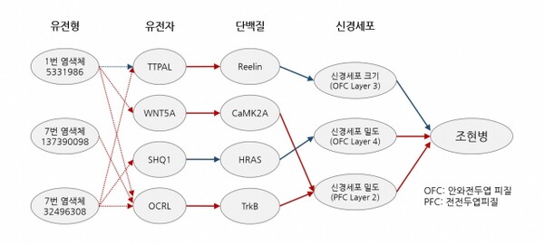 조현병, AI로 치료 실마리 찾았다