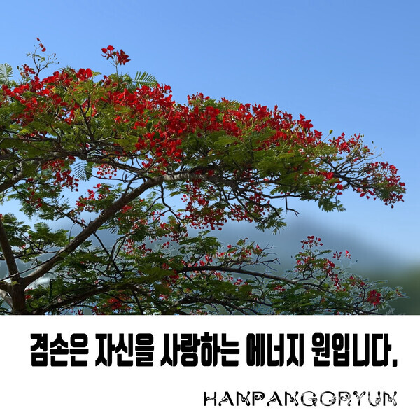 [한판고륜;삶의향기]겸손