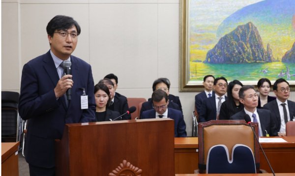 함윤식 우아한형제들 부사장이 21일 국회에서 열린 정무위원회 국정감사에서 의원 질의에 답하고 있다. 사진=연합뉴스