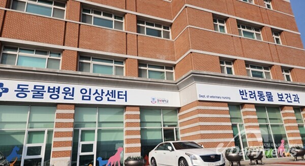 (사진 : 경복대학교 동물병원 임상센터, 반려동물보건과)